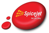 spicejet airline training institute